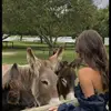 luna_hunter2 - @luna_hunter2 - TikTok
