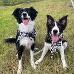 Luna Hunter - @luna_n_hunter - Instagram