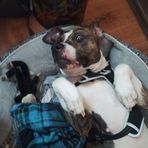 Luna Johnson - Facebook