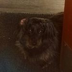 Luna Johnston - @luna_johnston - Instagram