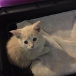 Luna Johnston - @lunaj201945 - Instagram