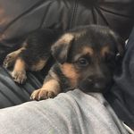 Luna Johnston - @luna.the_explorer - Instagram