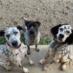 Luna joyce/Leonard eves/mouse joyce - @luna_lenny_mouse - Instagram