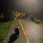 Luna - @_luna_keller_ - Instagram