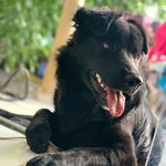 Luna - @lun.akeller - Instagram