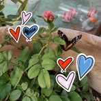 Luna Key - Facebook