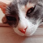 @lunak.ey - Instagram