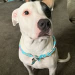 Luna Kramer - @lunaeclipse03 - Instagram