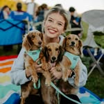 Luna, Shelby, and Lainey, the Long Haired Mini Dachshunds - @luna.shelby.and.lainey - Instagram
