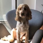 Luna Jones - @luna_lamb_bhuna_jones - Instagram