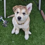 Luna Lamb - @the_life_of_luna_l - Instagram