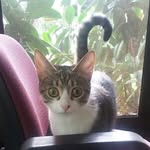 Luna Lambeau - @lunalambeau - Instagram