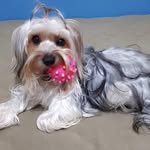 Luna Lambegood - @luna_lambegood - Instagram
