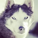Luna Lamboley - @luna.lamboley - Instagram