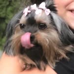 Luna - @luna_lambelambe - Instagram