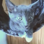 Luna Lambert - @luna.et.leonie - Instagram