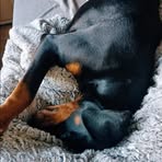 Luna Lambert - Facebook