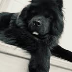 Luna Lambert - Facebook