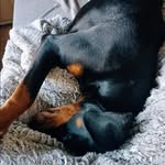 Luna Lambert - @lunalambert618 - Instagram