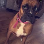 Luna Lawrence - @lunaaaa.lozz - Instagram