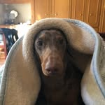 Luna Lawrence - @luna_doxiie - Instagram