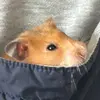 Luna Lawrence - @luna.lawrence8 - TikTok