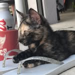 Luna Lawrence - @lunalu_l - Instagram
