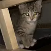 Luna - @lunalawrence22 - TikTok