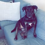 Luna Leach 🐶💗🌈 - @lunaa_bunaaa - Instagram