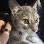Ashes Luna Levine - @ash_nibbles - Instagram