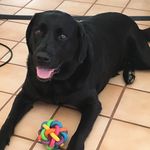 Luna Levine - @lunasovermyhammy - Instagram