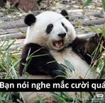 Luna Lin - Facebook