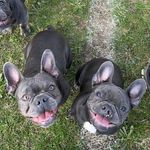 LUNA & LIPSY - @luna_and_lipsy - Instagram