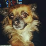 luna - @lunalipstick - Instagram