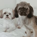 Luna & Logan - @_.luna.logan._ - Instagram