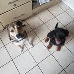Luna + Logan - @luna_logan_adventures - Instagram