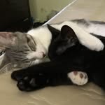 Luna & Logan - @luna_logann - Instagram