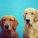 Luna & Logan - @lunaelogan - Instagram