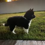 Luna & Logan - @lunaelogan_oshusky - Instagram