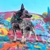 Luna & Logan - @thatbluedog_ - TikTok