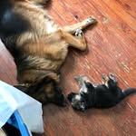 Luna & Logan - @luna_n_logan - Instagram