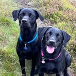 Luna & Logan - @thetailsoflunaandlogan - Instagram