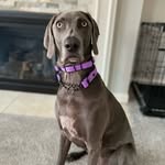 Luna Logan - @lunalogan2020 - Instagram