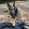 Luna❤️ - @lunalogan10 - TikTok