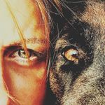 Luna aus dem Waldquellental - @luna_longhaired_gsd - Instagram