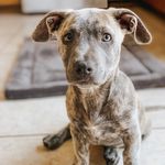 Luna Long - @lunalong__ - Instagram