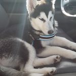 Luna Long - @lunalong158 - Instagram