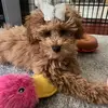 Luna - @luna.long.legs - TikTok