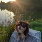 Luna Lowe - Facebook