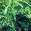 Luna_lowe - @luna_lowe - TikTok